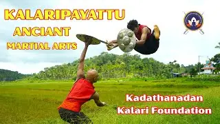 Kalaripayattu: The Ancient Art That Gave Birth to All Martial Arts | Complete Guide