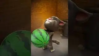 Fat tom hot tom