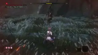 Sekiro Genichiro Way Of Tomoe/Resurrection Mode/Hard/NG+8/No prosthetic tools/No Damage