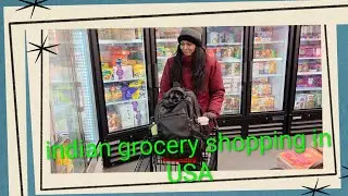 আমেরিকায় Indian শাক সবজির বাজারদর।। Indian grocery shopping in USA.... #dailyvlog 