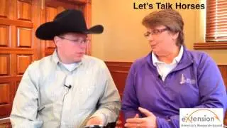 Let's Talk Horses - Safety in the Barn.