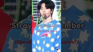 Guess the Stray Kids member by their lips #fyp #kpop #skz