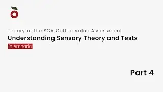 Theory of the SCA Coffee Value Assessment | Part 4: Understanding Sensory Theory and Tests