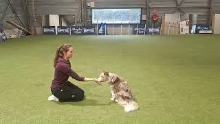 Level 1 Trick Award Kristine Goossens & Border Collie Sia