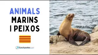 ANIMALS MARINS I PEIXOS EN CATAL&Agrave; - ANIMALES MARINOS Y PECES EN CATAL&Aacute;N