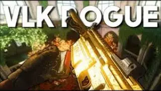 I got the gold completinist camo for the VLK Rogue!!