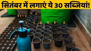 20 सब्ज़ियाँ जो सितंबर में लगानी चाहिए | Winter Gardening Guide | #aasanbagwani #winterseason 
