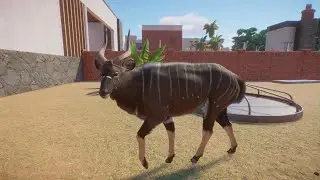 Planet Zoo: Nyala
