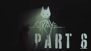 [Stray] Midtown to Jail