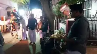 கூத்தாநல்லூர் மாப்பிள்ளை குதிரையில் வர்றார் ....வர்றார் ....வர்றார் .... | KOOTHANALLUR