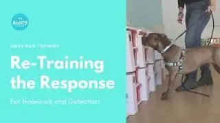 How to Re-Train a Response for Nosework or Detection