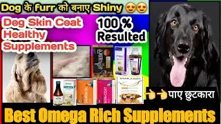 dog के hairs को बनाए चमकदार व Healthy || Best omega rich supplements for dog/cats || dog hair fall