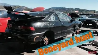 Junkyard hunt ends w/ success