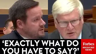 Grothman Asks U.K. Lawyer: What Do You Have To Say To Be Sent To Prison In Great Britain?