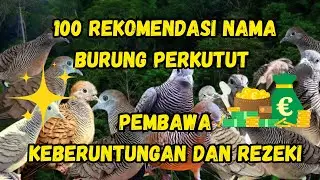 100 Nama Burung Perkutut Pembawa Hoki dan Rezeki Bagi Pemiliknya || Bagus Untuk Rekomendasi!!