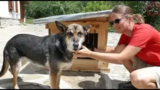 Community Outreach: Kennel Building