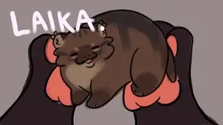Laika - Tigerstar and Leopardfoot PMV (blood, death)