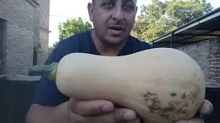 Primera Cosecha De Calabaza 🎃!! Jueves 29 De Enero.. Súper Felizzzz**