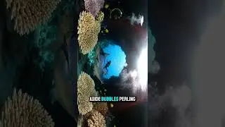 #OceanMood #OceanDreams #OceanVibes#CalmingOcean #BlueOcean #OceanEscape#OceanEnergy #SeaScener