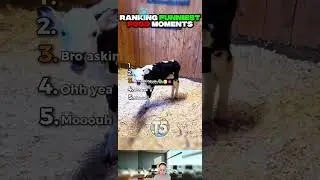 Ranking Funniest Food Moments #toptrending #ranking #follow #top5 #fu    7493225517877923094