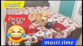 Dekho Guddu ko kya ho gaya 😂😝