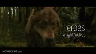 Twilight Wolves Heros
