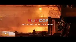 Molycop - Apprentice Experience Part 2