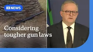 Albanese will consider tougher gun laws in wake of Bondi attack | ABC NEWS