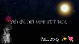 yeh dil hai tera sirf tera yeh jaan hai teri sirf teri ✨❤️ | love lofi song | #danzal_love