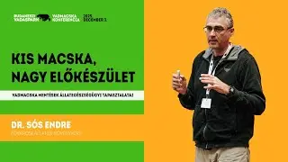 BudakesziVadaspark VadmacskaKonf 20251203 DrSosEndre 4K