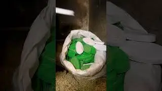 The Making of a Cloth Washing Brush | Smartest Workers