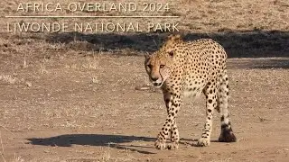 2024 - Liwonde National Park, Malawi - 1 - 4 July
