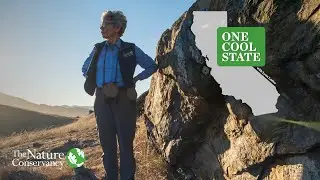 One Cool State: California