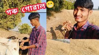 আজি গৰু গোৱাল‌ মই 😁☺️‌‍ mising vlog || #narahao #misingvlogs 