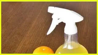 Make Eco-friendly Glass Cleaner with 5 Home Recipes