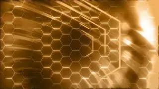 4K FREE Honey Hive Motion Graphics Background