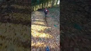 L'automne en Surron X &agrave; l'ancienne !