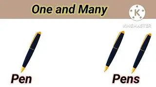 one and many concept for kids ||singular and plural |Nouns - Singular and Plural
