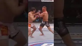 War! #fight #mma #war #fights #shorts #shortvideo #ufc