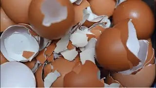 Come to see me attempt to shell a raw egg,become a member and help us grow our channel,Thank you