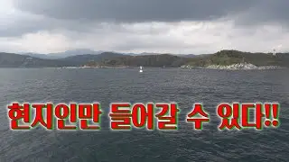 최북단 민통선!!우리나라 최고 인기어종 개락이다 개락!!!/ Interesting Rockfish Fishing!!!