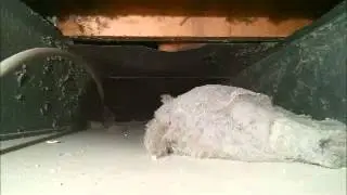 Dr  Duct