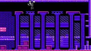 Pesterminator (NES) review