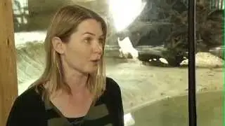 Зоопарк Калгари &ndash; Драконы Комодо