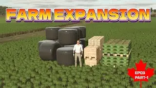 From Harvest to Expansion | New Field Unlocked! | Rags to Riches Challenge | Ep03-part1
