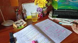 Study With Me for TOPIK-2 (Notes, calm, 30 mins) ☕