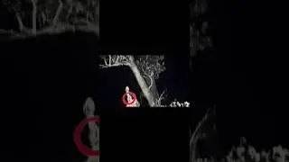 पेड़ पर बैठी आत्मा || Haunted palace || Paranormal Investigation ||