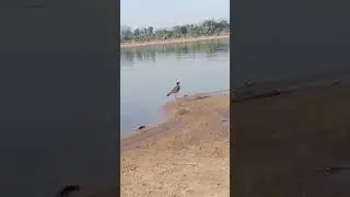 #naturelovers # last Sunday of 2025😊💯🔥