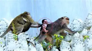 Pitiful Video clip !, Million Pitiful Baby Bean Scream Crying Loudly,  Mekala Kidnaps Baby Bean