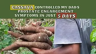 How to Treat PROSTATE ENLARGEMENT Symptoms Naturally in 5 days / Earth's Medicine